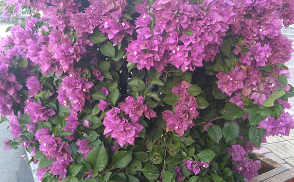 ���ݷɼ���Ӱ��ѵ��