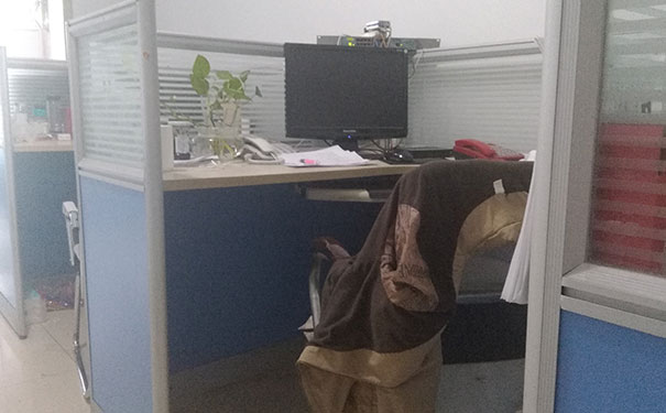 ������Ƶ��㻯��ѵ������