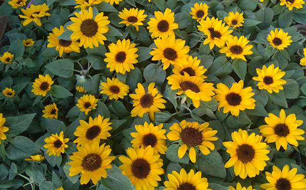 ����������ӰѧУ_��Ӱרҵ