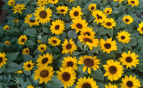 ������Ӱ��ѵ_��Ӱʦ��ѵ��