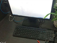 �����������ѵ_������ư�/