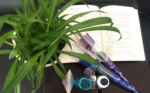 ����������ѵѧУ-������ѵ��