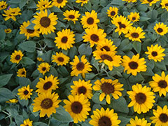 ������ӰѧУ-Ӱ¥�������������/