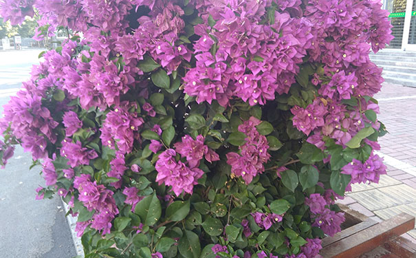 ������Ӱ��ѵѧУ_��Ӱ��ѵ��