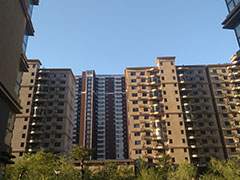 ���ݶ�������ʦ��������/