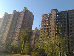 ���ݶ�������ʦ���Ա�������/