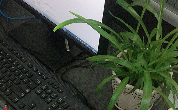 �����������ѵѧУ