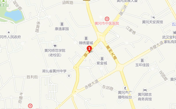 �ƸԺ�������ѵѧУ