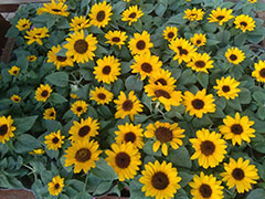 ��������ѵ���ĸ���_��ַ_�绰_΢��/