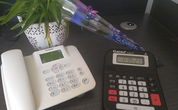  �عغ�������ѵѧУ