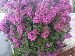 ���������ѵ���ĸ���_��ַ_�绰_΢��/