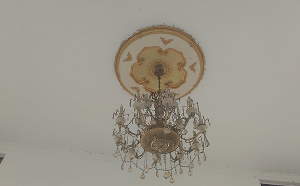 ���ݳ��������ְҵ��ѵѧУ