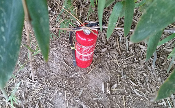 ѧһ����������ʦ