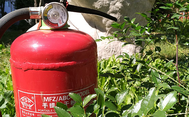 פ������һ����������ʦ��ѵ���ĸ���_����Ǯ_��ַ�绰΢�� 