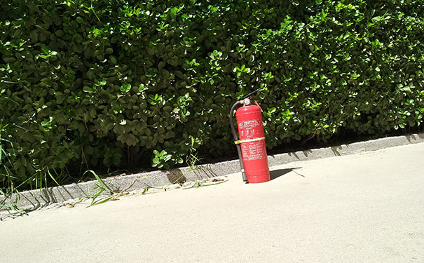 ��·����ʦ��ѵѧУ