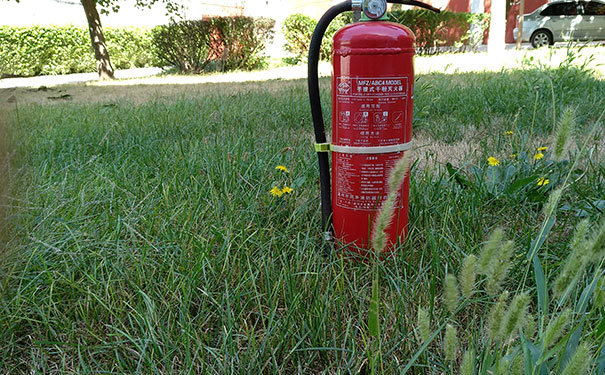 ʮ��һ����������ʦ��ѵ���ĸ���_����Ǯ_��ַ�绰΢��