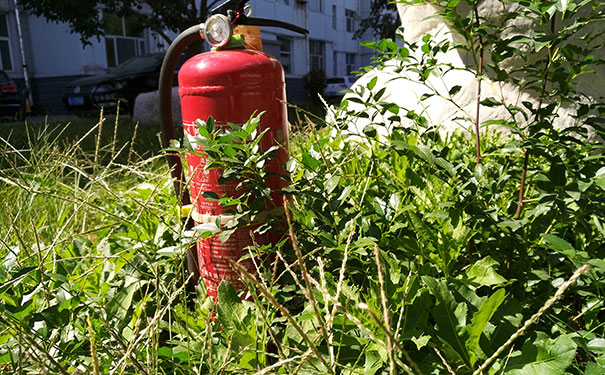 ��·������ѵѧУ