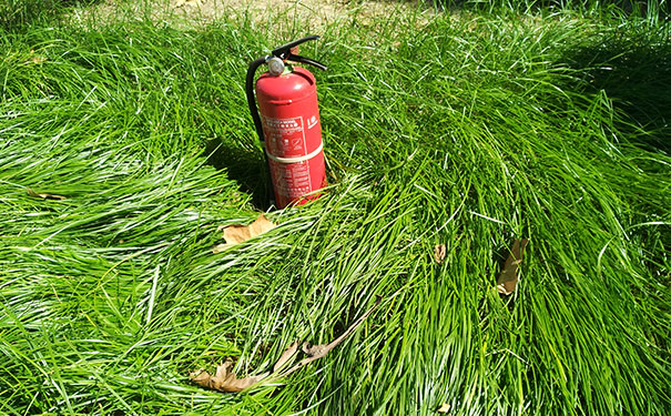 ��������ʦ