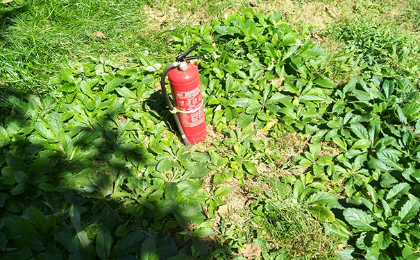 ��������ʦ