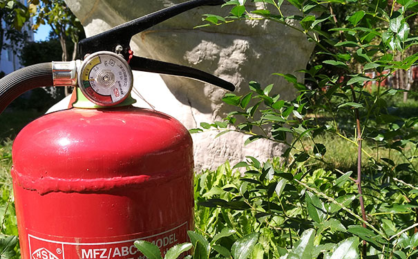 ��·����