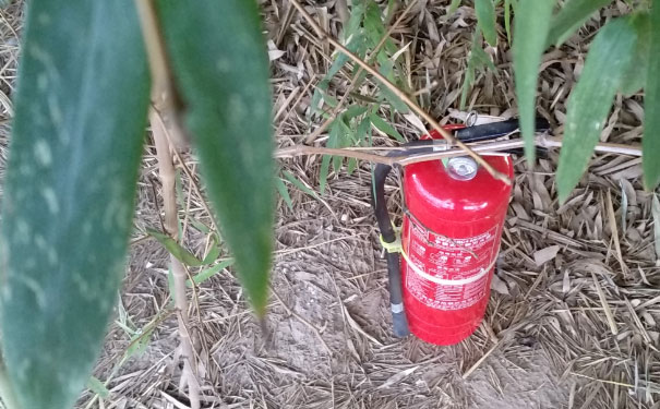 ��֦��һ����������ʦ��ѵ���ĸ���_����Ǯ_��ַ�绰΢��