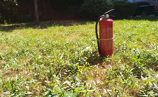 ��·����