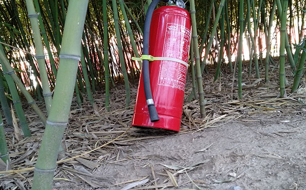 ��·����