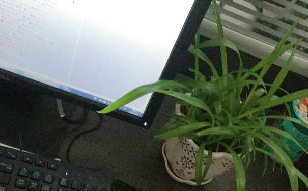 保定计算机中专学校有哪些