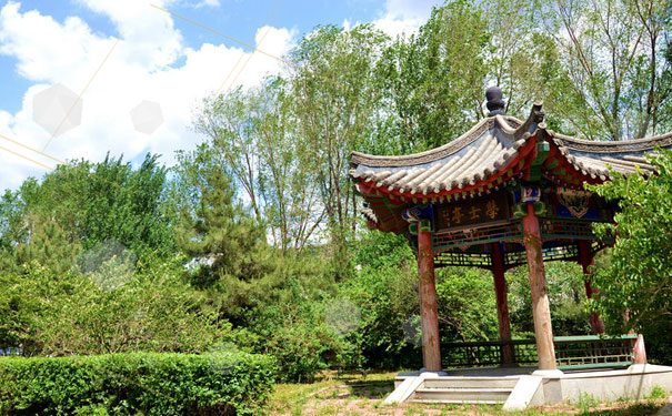 ����ʦ����ʦѧУ