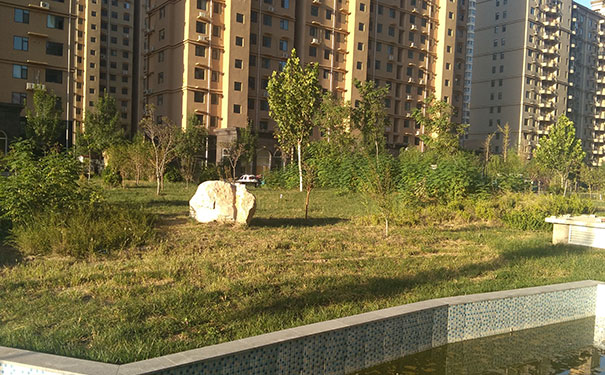 ��·����