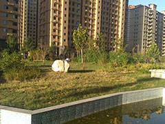 ����һ������ʦ��ѵ���ĸ���_�۸����Ǯ_��ַ�绰΢��/