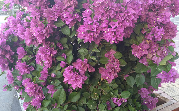 �������ھ�ҵ��ѵ_Ӱ�Ӻ��ڼ�����רҵ