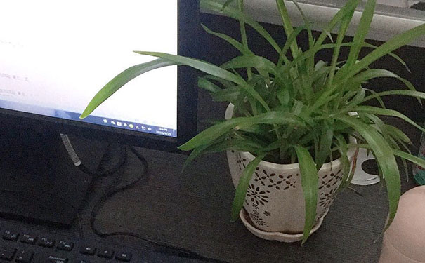 德州电脑培训班有哪些专业?学费分别多少?