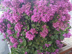 ��̨�������ѧУ_�������������ѵ��/