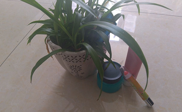 ���ݰ����û�ױ��ѵ_��ʽ��������ѵ��