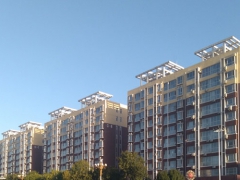 �Ϻ���������ʦ��ѵ�����ļҺ�_��������_ѧ�Ѷ���/