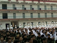 ������У����������ѧУ��/