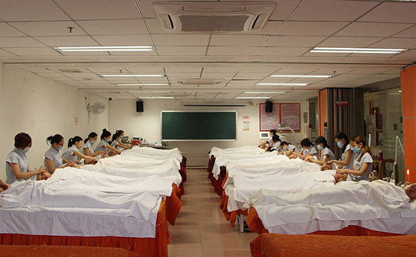 初学者怎样学习美容?学美容的方法有哪些?