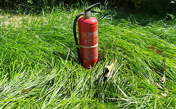 ������·����ʦ��ѵѧУ