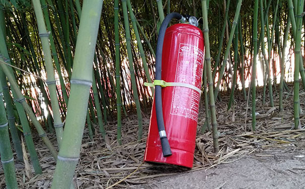 �Ͻ���·����ʦ��ѵѧУ