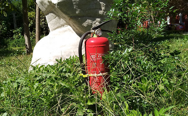 ������·����ʦ��ѵѧУ