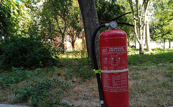 �����·����ʦ��ѵѧУ