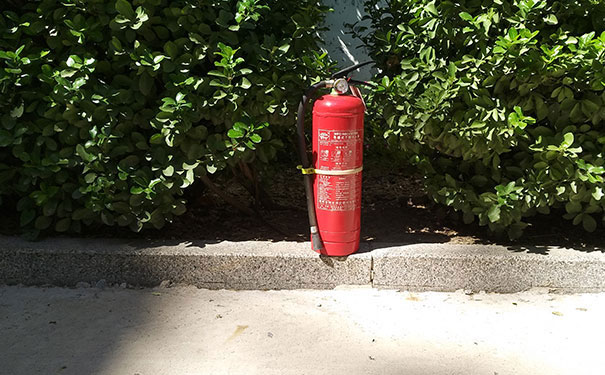 ��·����ʦ��ѵѧУ