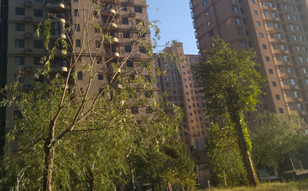 盘锦一级建造师培训班哪个好_价格多少钱_地址