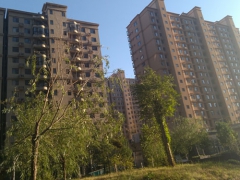 ����һ������ʦ��ѵ���ĸ���_�۸����Ǯ_��ַ/