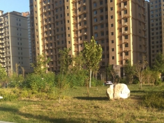 ����һ������ʦ��ѵ���ĸ���_�۸����Ǯ_��ַ/