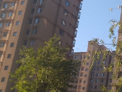 ����һ������ʦ��ѵ���ĸ���_�۸����Ǯ_��ַ/