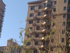 ����һ������ʦ��ѵ���ĸ���_�۸����Ǯ_��ַ/