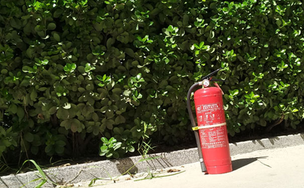 ̨����������ʦ��������-����ʱ��-���Կ�Ŀ-��ҵǰ��