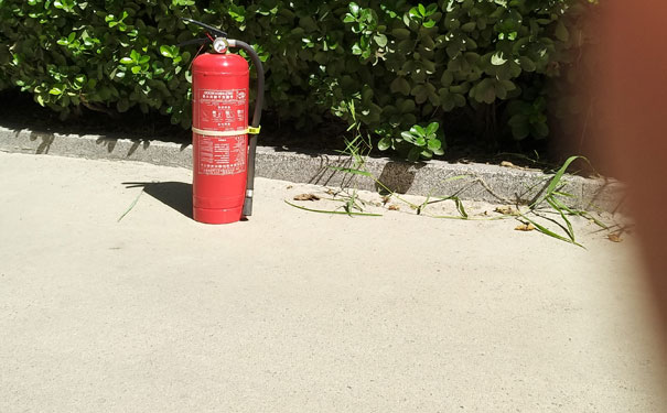 ������������ʦ��������-����ʱ��-���Կ�Ŀ-��ҵǰ��